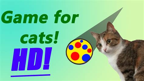 cat games for cats youtube|More.